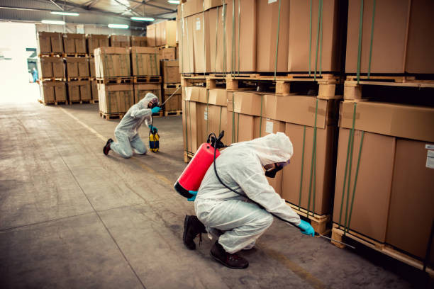 Best Emergency Pest Control  in Waldwick, NJ