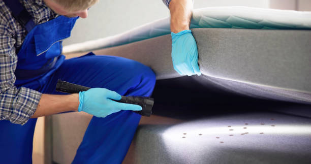 Best Pest Control Near Me  in Waldwick, NJ