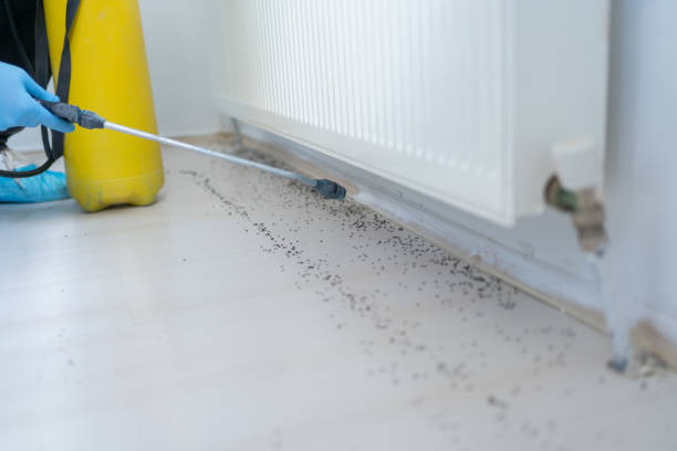Waldwick, NJ Pest Control Company