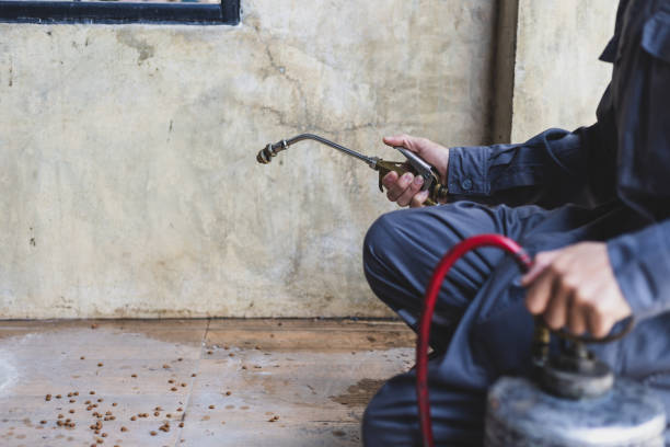 Best Best Pest Control Companies  in Waldwick, NJ